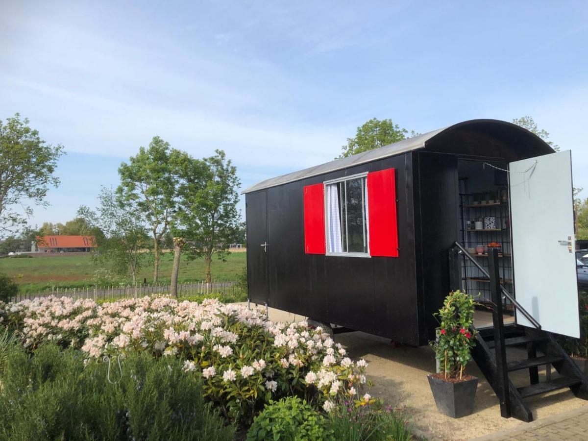 Chalet Royal Broek Exterior photo
